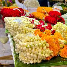 images_original_copy_1_copy_1_copy_1